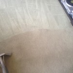 Carpet-Cleaning-Puyallup