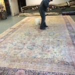 Commercial Carpet Cleaning Puyallup
