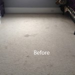 Cranberry Juice Stain Removal Puyallup A