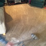 Dirty-Carpet-Cleaned-Puyallup