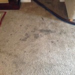 Dirty-Carpet-Puyallup-WA