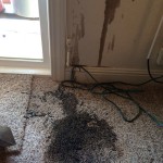 Oil-Stain-Removal-Before-Puyallup