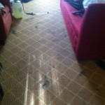 Puyallup-Carpet-Clean-before