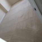 Puyallup-Carpet-Clean-room