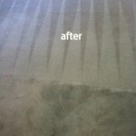 Puyallup-Carpet-Cleaning-Carpet-Cleaning