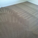 Puyallup-Carpet-Cleaning-Wall-To-Wall