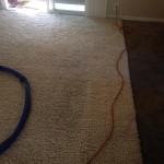 Puyallup-Traffic-Area-carpet-cleaners
